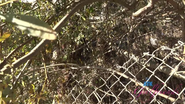 Превью Выгулял свою подружку, а потом поимел её № 46430