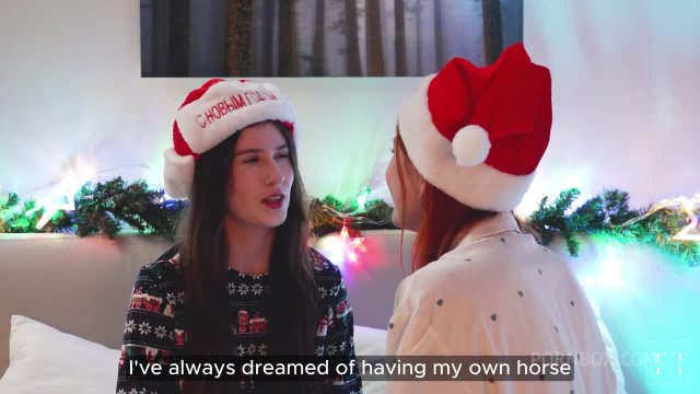 Превью Мы всегда встречаем Рождество именно так № 46542